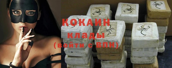 гидра Коряжма