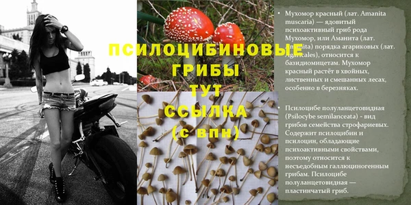 экстази Беломорск