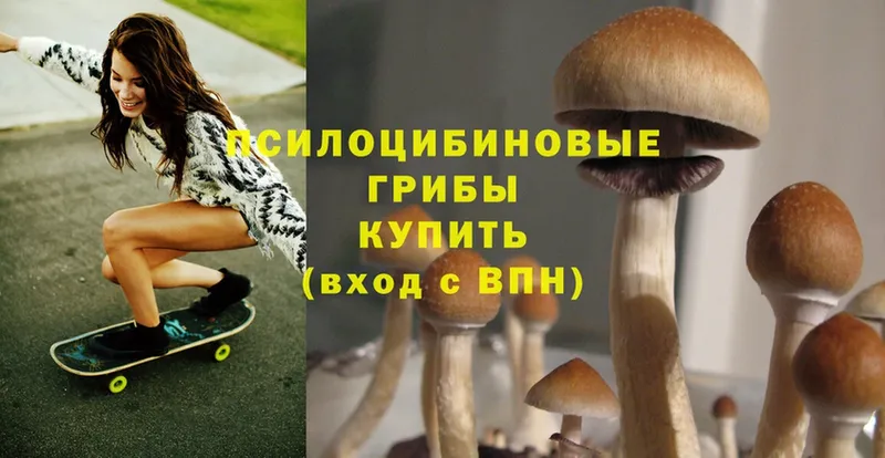 Галлюциногенные грибы Psilocybe  наркота  Воркута 