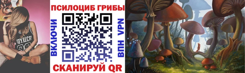 Псилоцибиновые грибы мухоморы цена наркотик Воркута