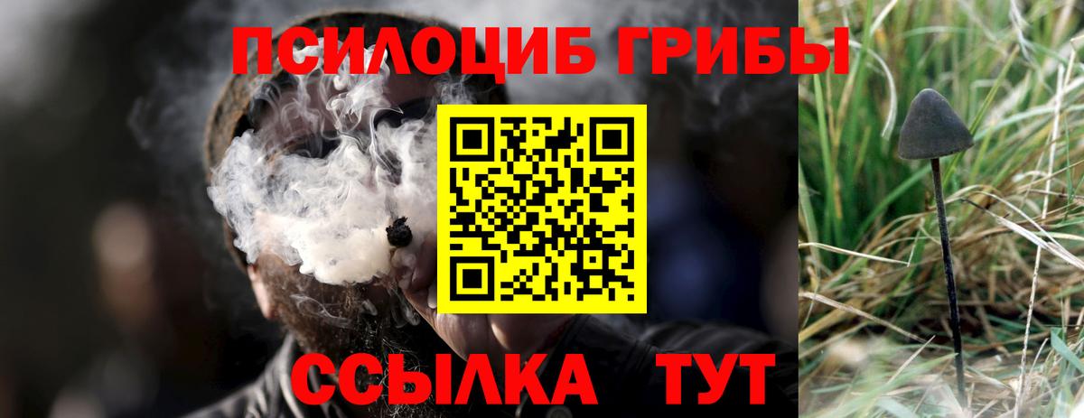 Воркута  Псилоцибиновые грибы мицелий  Вход с VPN 